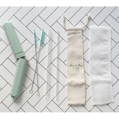 유리빨대 빨대케이스 풀세트 친환경 내열 (일반1 버블티1 밀섬유케이스1 세척솔2 포함)