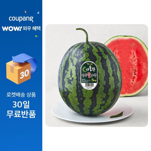 다올찬 맹동 꿀수박, 5kg이상, 1개