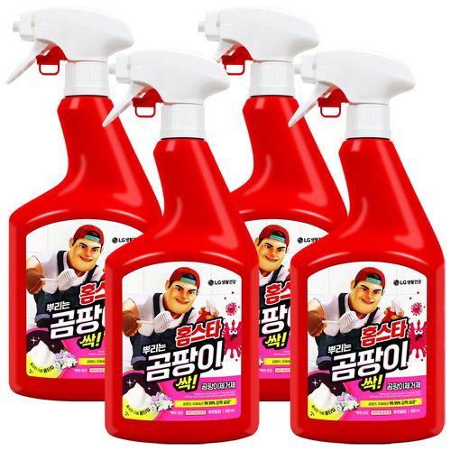 홈스타 뿌리는 곰팡이싹