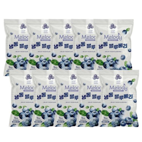 멜로디 냉동 블루베리, 1kg, 10개