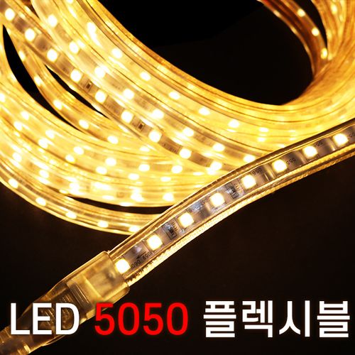 세븐라이팅 LED 5050 플렉시블 논네온 10M, 백색, 1개