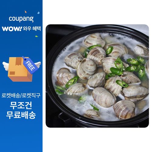 자연산 활 백생합 조개 5kg 대용량 백합조개 구이 찜 캠핑 안주, 1세트