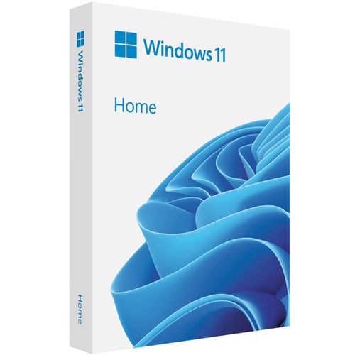 마이크로소프트 Windows 11 Home 처음사용자용 FPP USB, HAJ-00095