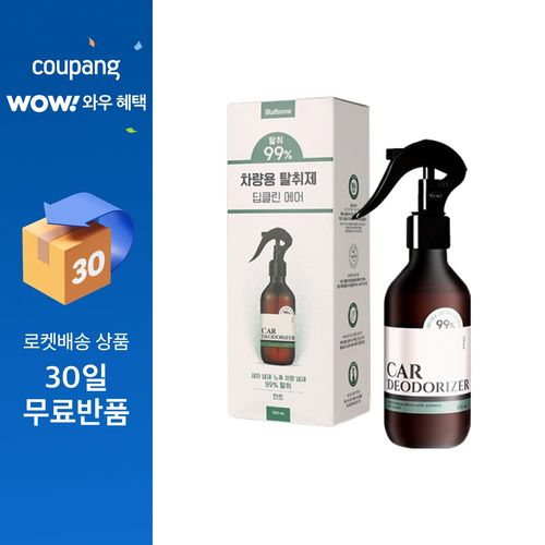 불스원 차량용 탈취제 딥클린 에어 민트향, 1개, 200ml