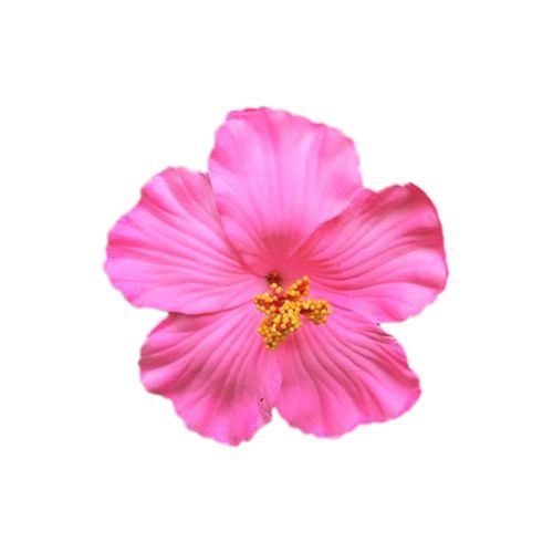 하와이안 플라워 헤어 클립 (여성 및 소녀용), 인조 꽃 장식, 웨딩 및 파 루아우 파티, 신부 및 해변 파티용